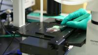 Precision Genomics Laboratory Precision Genomics Laboratory